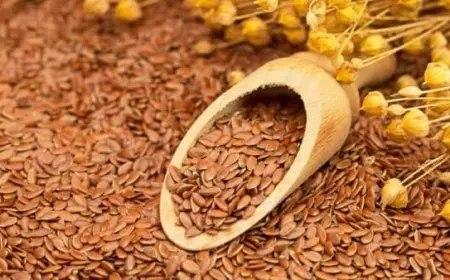 تجربتي مع حب الرشاد للحمل بتوأم