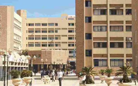 الفرق بين الجامعة والكلية