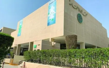 تخصصات معهد الإدارة العامة