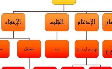 أحكام النون الساكنة والتنوين مع الأمثلة لكل نوع