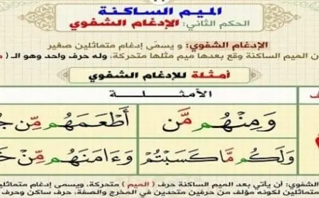 أحكام الميم الساكنة والتنوين