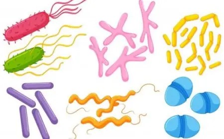 خصائص المخلوقات الحية أول ثانوي