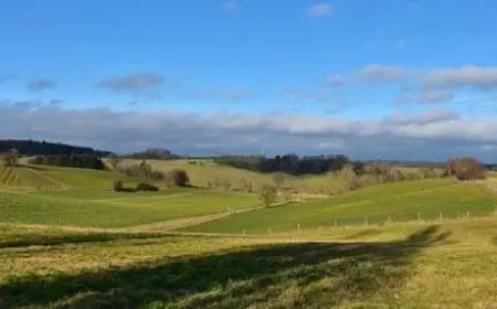 الدونم كم متر مربع