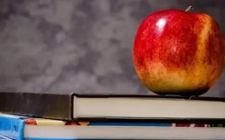 من هو مكتشف قانون الجاذبية الأرضية