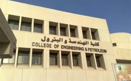 كم عدد كليات هندسة بترول في مصر