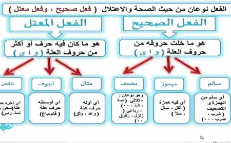 تصريف الفعل الناقص