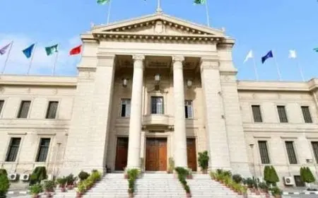 أقسام كلية الحقوق