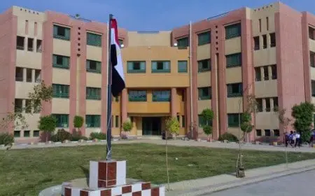 أسعار المدارس الخاصة في مصر 2024