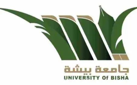 جامعة بيشة التسجيل المباشر