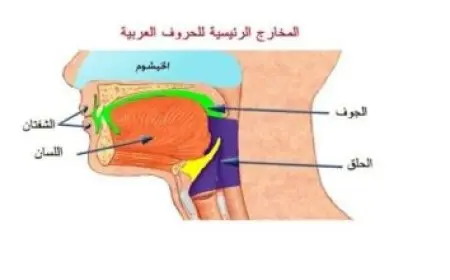 جامعة الطفيله التقنيه بوابة الطالب