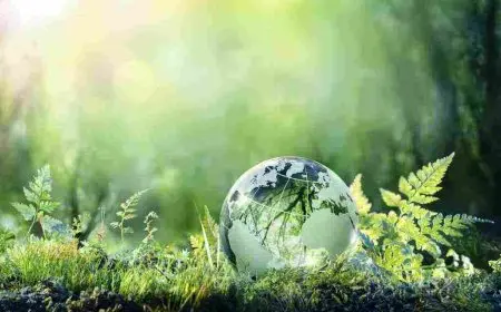 ما هي البيئة