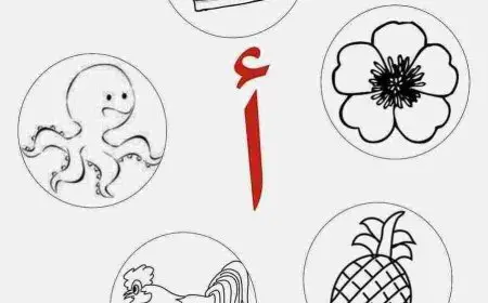 متى تكتب الهمزة على السطر