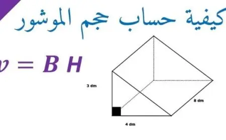 كيفية حساب حجم المنشور