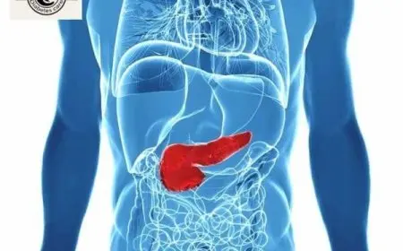 أين يقع البنكرياس في جسم الإنسان بالصور