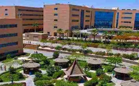 الجامعات المعتمدة في مصر