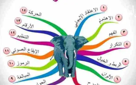 أقوى تمارين تقوية الذاكرة