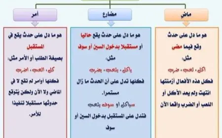 تدريبات على الفعل الماضي والمضارع والأمر