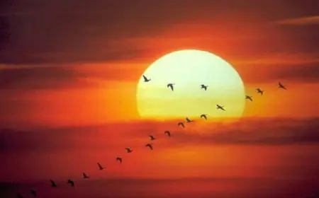 اجمل الصور المميزة 2024