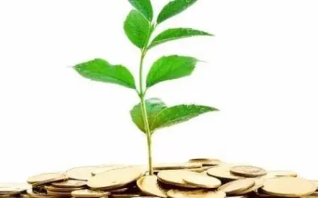 الحكمة من مشروعية العيد