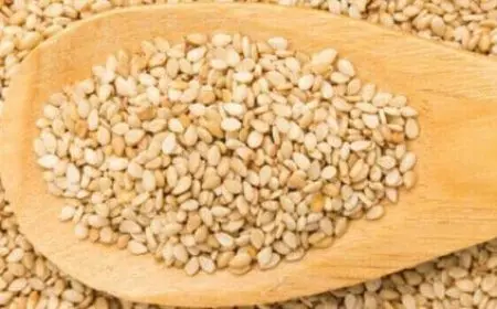 تجربتي مع فول الصويا المطحون للحمل