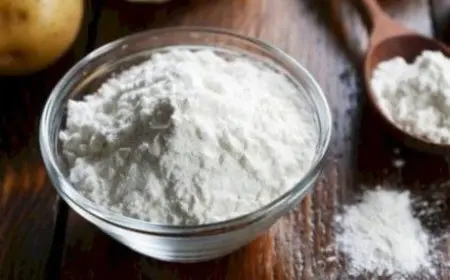 فوائد النشا بعد ترجيع الأجنة