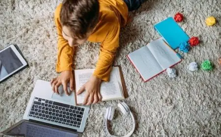 نظام فيو كلاس