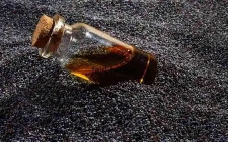 تجربتي مع حبة البركة للتنحيف