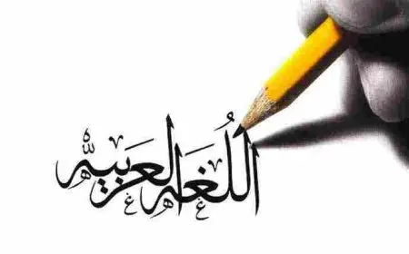 ما هي أدوات الجزم