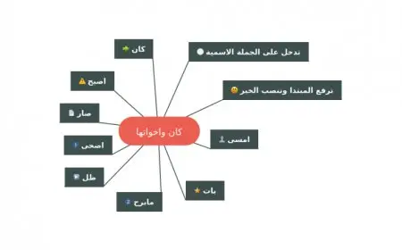 أمثلة على كان وأخواتها