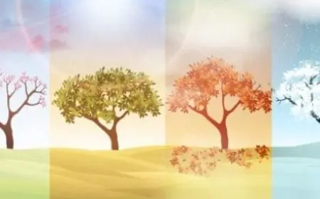 ترتيب الفصول الاربعة حسب الشهور