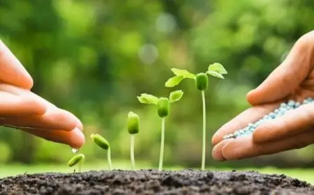 الفرق بين التكاثر الجنسي واللاجنسي