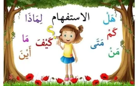 تدريبات على أدوات الاستفهام