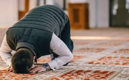 هل يجوز قراءة نفس السور في كل صلاة؟