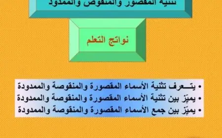 تدريبات على الاسم المقصور والمنقوص والممدود