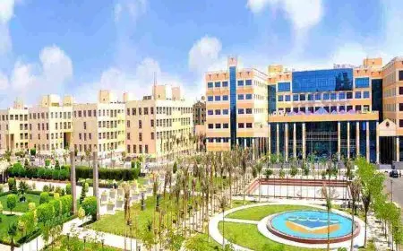 الجامعات الجديدة في مصر 2024