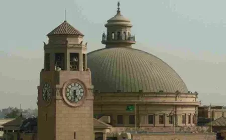 ترتيب جامعة القاهرة عالميا