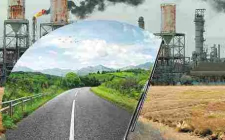 دور الإنسان في المحافظة على التوازن البيئي