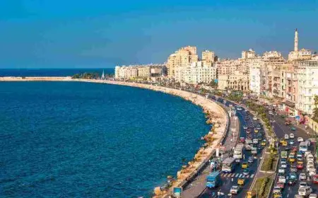 بحث عن مدينة الإسكندرية