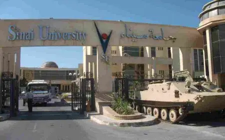 جامعة سيناء الخاصة كلية طب الاسنان