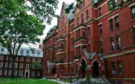 شروط القبول في جامعة هارفارد الأمريكية Harvard 2024