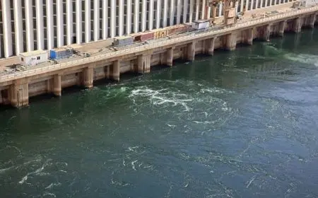 اثر السدود في النظام البيئي