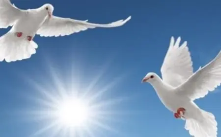 موضوع تعبير عن السلام