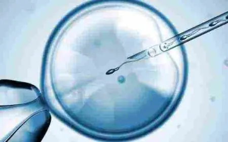 تكلفة الحقن المجهري في مصر