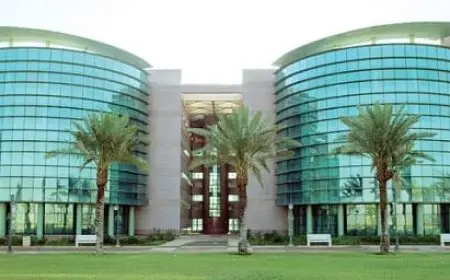 تخصصات جامعة تبوك والنسب المطلوبة 1446