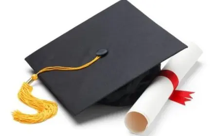 تخصصات جامعية لها مستقبل للبنات 2024