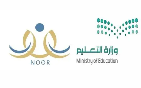 كلمات تنتهي بحرف النون والتاء المربوطة