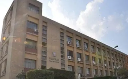 الجامعة السعودية الإلكترونية التسجيل 1446 بكالوريوس وشروط القبول والرسوم