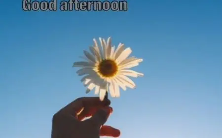 متى تقال good afternoon