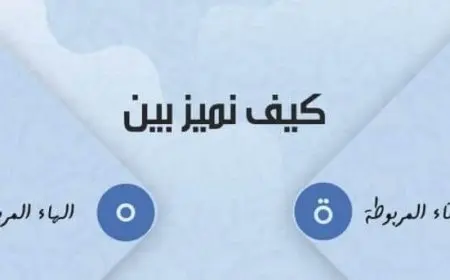 متى تكتب التاء المربوطة والهاء