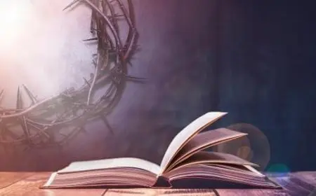 كلمات عربية فصحى عن الجمال